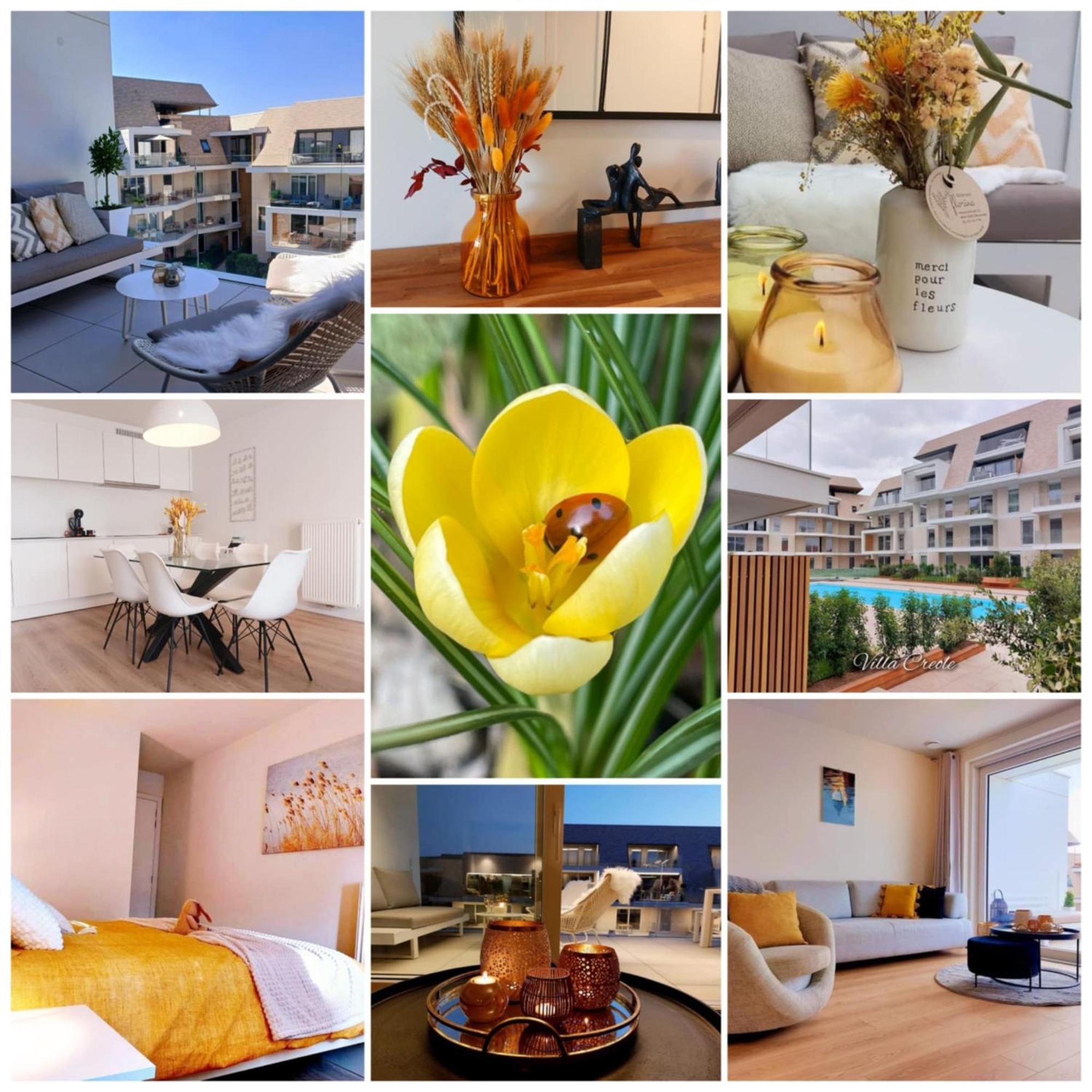 Villa Creole 0308 Luxe Appartement Met Verwarmd Zwembad Nieuwpoort Jachthaven Eksteriør billede